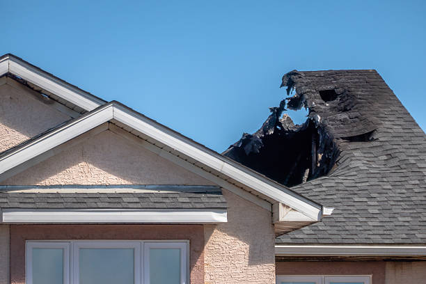 Top rated local Fire Damage Removal specialists in Glenwood City, WI